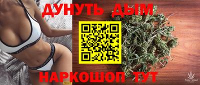 стаф Ставрополь