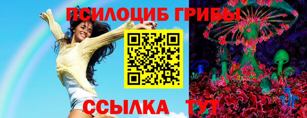 Псилоцибиновые грибы Psilocybine cubensis  где продают наркотики  Псилоцибиновые грибы Cubensis  Малоярославец  Вход с VPN 