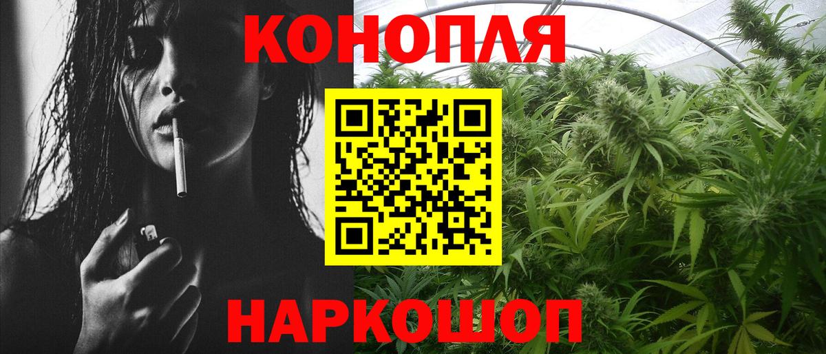 Бошки Шишки гибрид  Каннабис MAZAR  Вход с VPN  Малоярославец  Марихуана планчик 